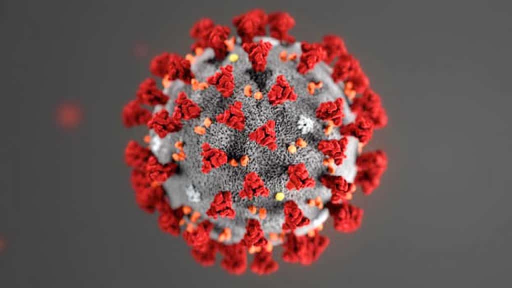 coronavirus-:-flash-intervention-poursuit-ses-mesures-preventives